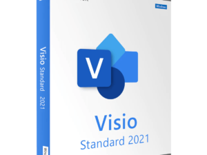 Microsoft Visio 2021 Standard kunnen gebruikers professionele